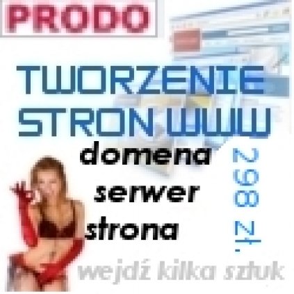 Wykonanie strony internetowej www Poznań świetna cena 298 zł. (brutto) 
